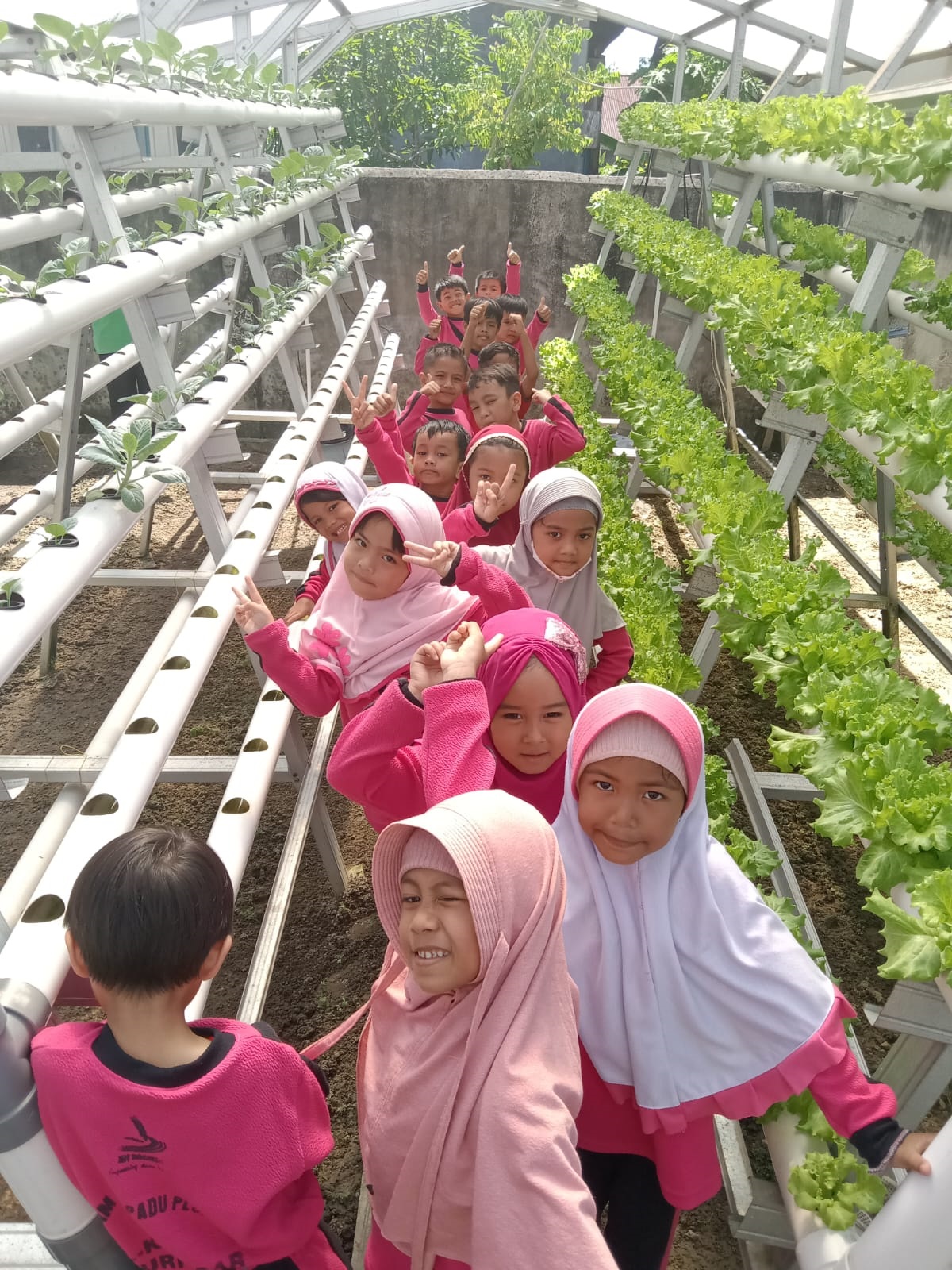 KUNJUNGAN KE KEBUN SAYUR